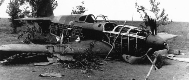 5762ac8d9000b54367c940dff84 (2).jpg